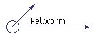 Pellworm